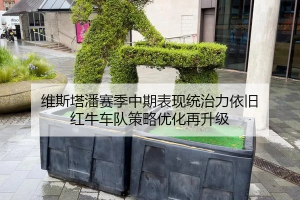 维斯塔潘赛季中期表现统治力依旧 红牛车队策略优化再升级