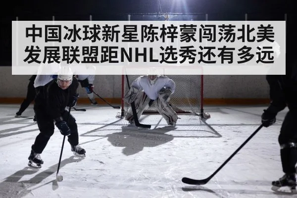 中国冰球新星陈梓蒙闯荡北美发展联盟距NHL选秀还有多远